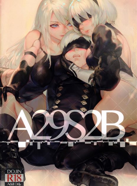 A29S2B