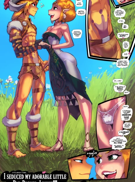 Link X Zelda in “Luvy-Duvy PRINCESS DOM”